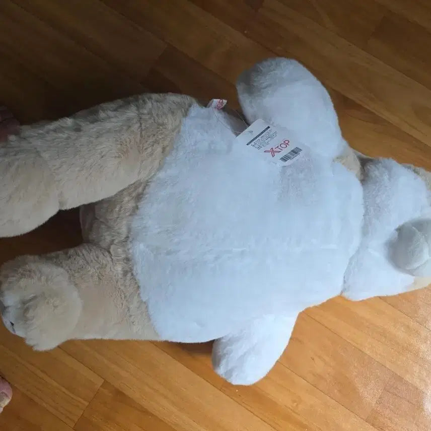 [BUNJANG] X-TOP Beige White Bear Plush Toy / 엑스탑 베이지 화이트 곰 봉제인형