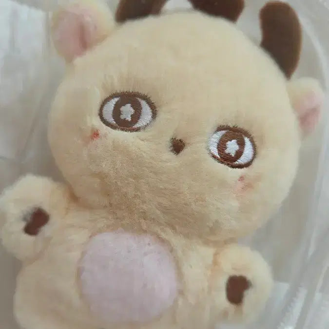[BUNJANG] Sosimi Doll &amp; Photocard Holder Bundle Set / 소심이&amp;포카&amp;홀더 일괄 판매합니다