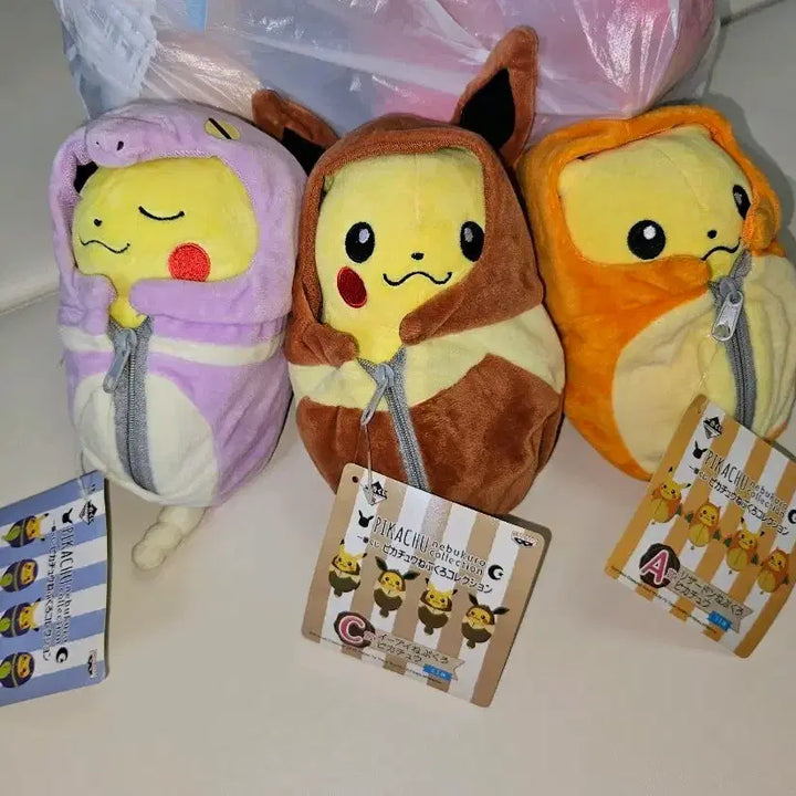 [BUNJANG] Pokemon Sleeping Bagchu Eevee Charmander Squirtle / 포켓몬 이브이 리자몽 아보 침낭츄