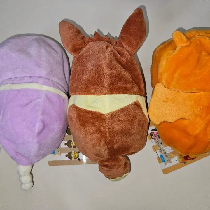[BUNJANG] Pokemon Sleeping Bagchu Eevee Charmander Squirtle / 포켓몬 이브이 리자몽 아보 침낭츄