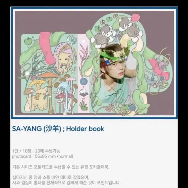[BUNJANG] Sik Sik Photocard Holder Book / 식님 sik 포카홀더북 포카홀더 엔시티 위시 앤팀 라이즈 양 소 가챠 메지루시