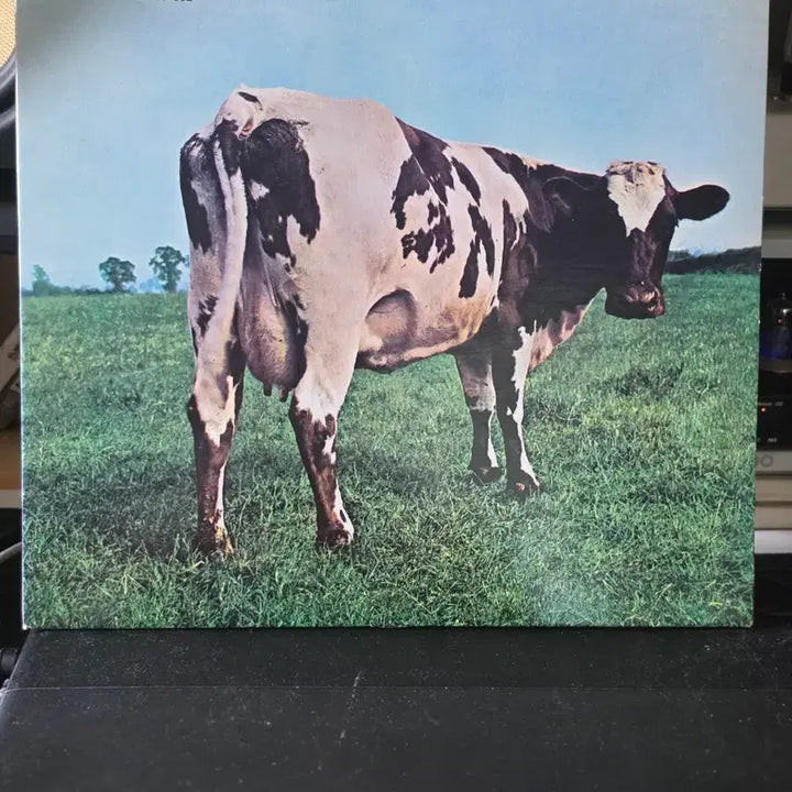 [BUNJANG] Pink Floyd Atom Heart Mother LP / 핑크 플로이드 앨범 Atom Heart Mother LP 라이센스