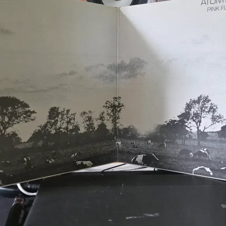 [BUNJANG] Pink Floyd Atom Heart Mother LP / 핑크 플로이드 앨범 Atom Heart Mother LP 라이센스