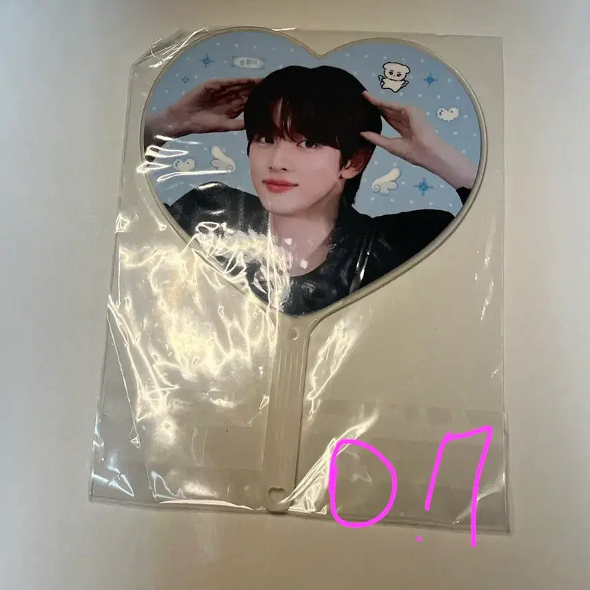 [BUNJANG] Sungchan Mini Uchiwa / 성찬 미니 우치와 판매 양도