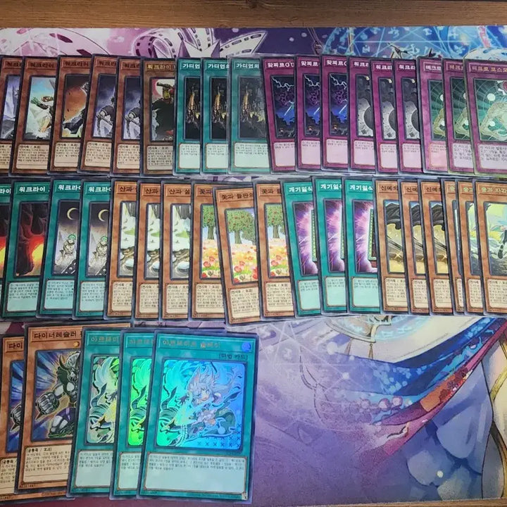 [BUNJANG] Yu-Gi-Oh! WURM DECK / 유희왕 워크라이덱 팝니다