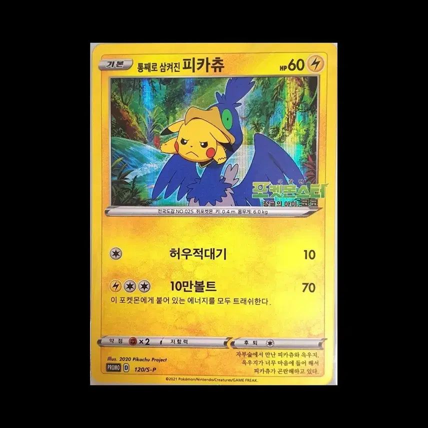 [BUNJANG] Pokemon TCG Pikachu Card (Swallowed Whole Edition) / 포켓몬스터 카드 통째로 삼켜진 피카츄