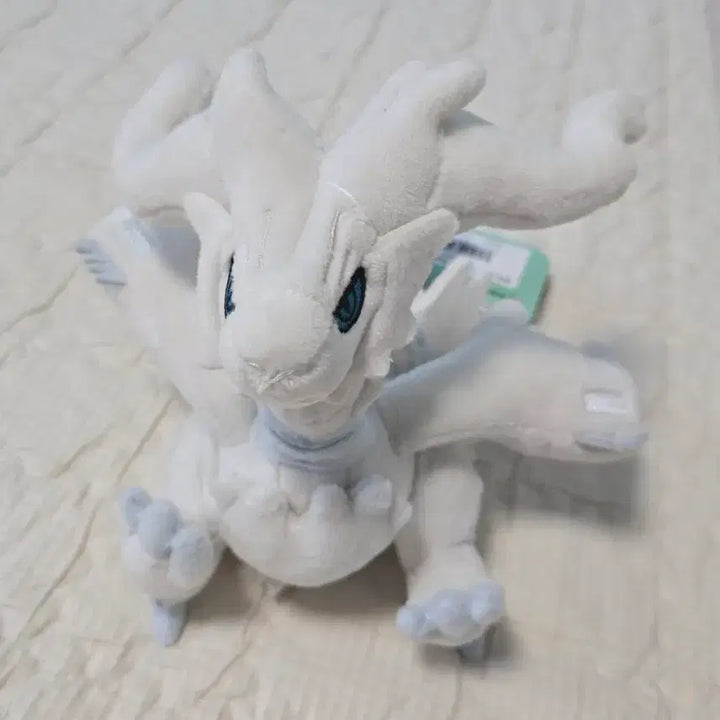 [BUNJANG] Pokemon Reshiram Pokemonfit Plush / 포켓몬스터 레시라무 포켓몬fit 인형 판매합니다