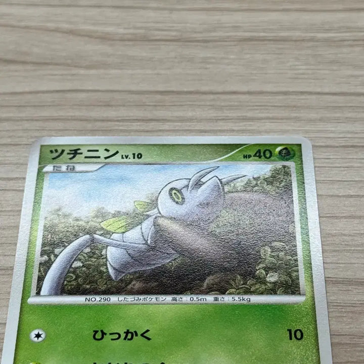 [BUNJANG] Pokemon Card DP5 1st Edition Torchic 2008 (Japanese) / [포켓몬카드 일판] 고전 DP 토중몬 2008년 (DP5 1st)
