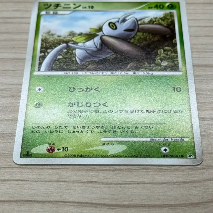 [BUNJANG] Pokemon Card DP5 1st Edition Torchic 2008 (Japanese) / [포켓몬카드 일판] 고전 DP 토중몬 2008년 (DP5 1st)