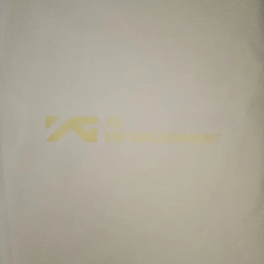 [BUNJANG] Big Bang Concert Raincoat (Sealed) / (미개봉)빅뱅 콘서트 우비