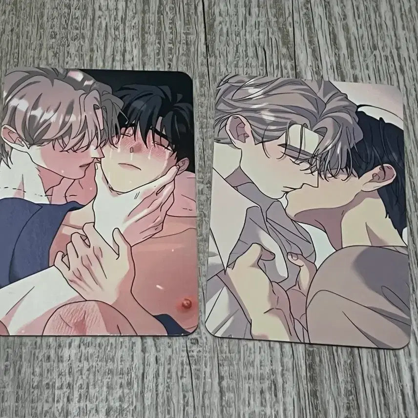 [BUNJANG] SALON DE REBOM Rootless Tree Photocard Set / 살롱드르봉 레봄 뿌리없는나무 뿌리 없는 나무 포카 세트