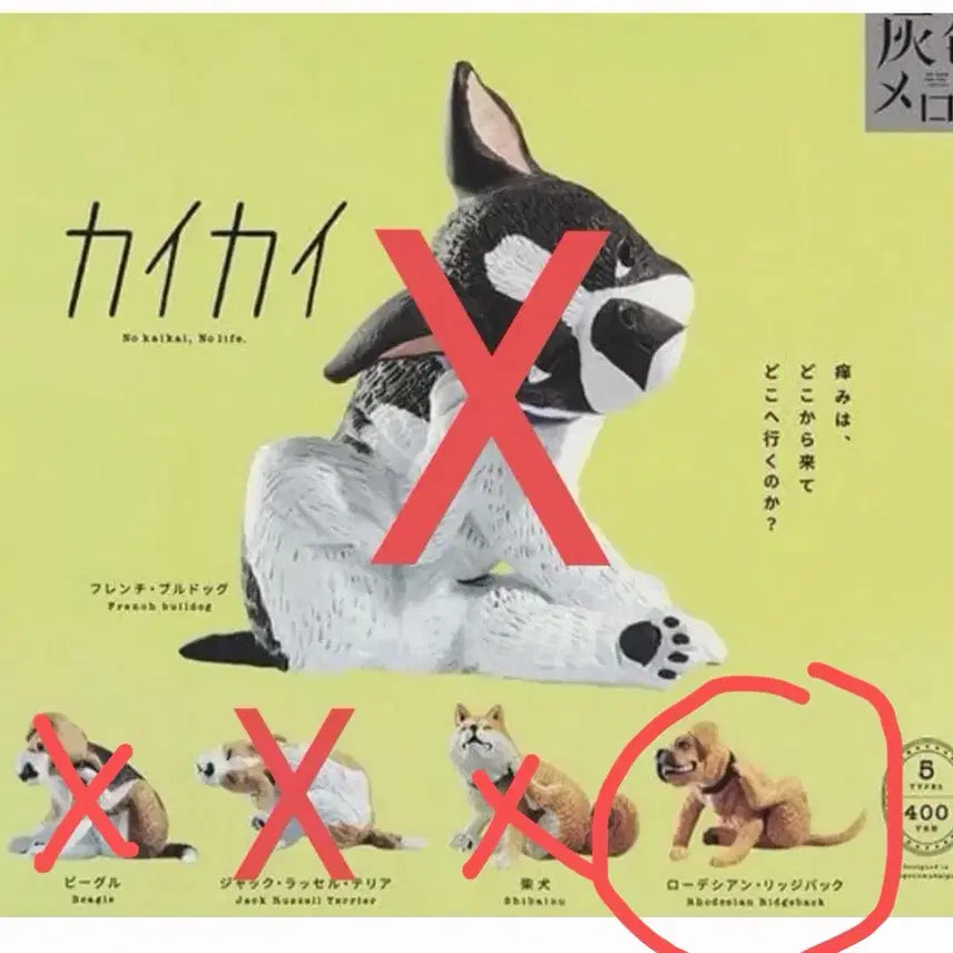 [BUNJANG] Kai Kai Itchy Dog Gacha New Unsealed / 카이카이 가려운 강아지 개 가챠 신품 미개봉