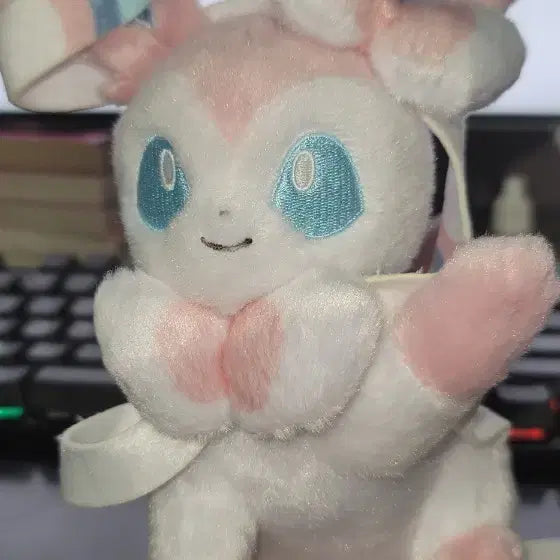 [BUNJANG] Nymphia High Five Eevee Collection Mid-Pocket Sent / 님피아 하이파이브 이브이 콜렉션 중포켓센