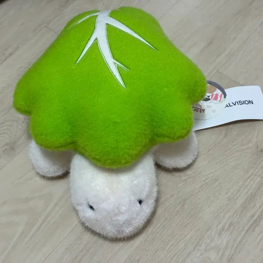 [BUNJANG] Shabu-Shabu Turtle 25cm Plush Doll / 샤브샤브 거북이 샤부샤부거부기 알배추 25cm 인형 뽑기 키덜트