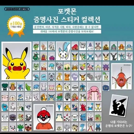 [BUNJANG] Pokemon Proof Photo Full Set (Parts 1 &amp; 2) / 포켓몬 증명사진 1,2탄 전종 풀 세트