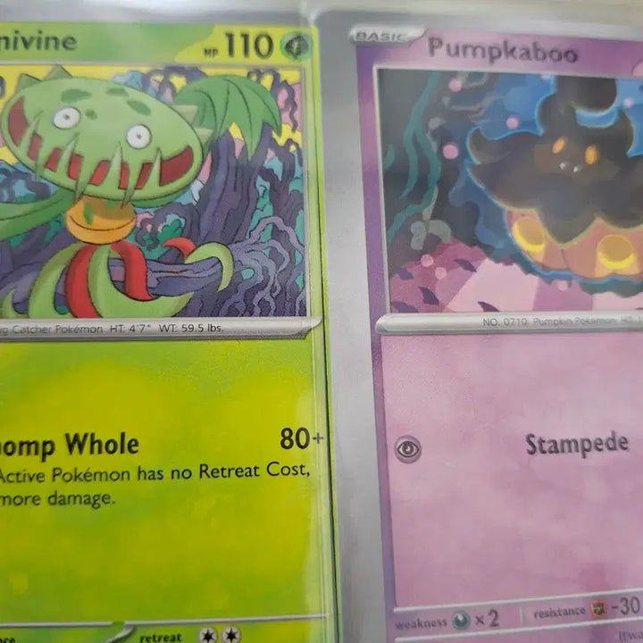 [BUNJANG] Unique Pokemon Card English Version Miscut Error Card / 세상에 하나밖에 없는 포켓몬카드 팝니다!