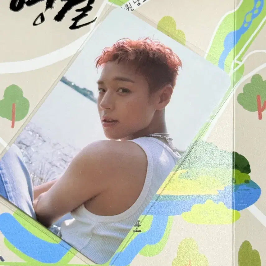 [BUNJANG] Park Ji Hoon plve Photocard / 박지훈 plve 포카