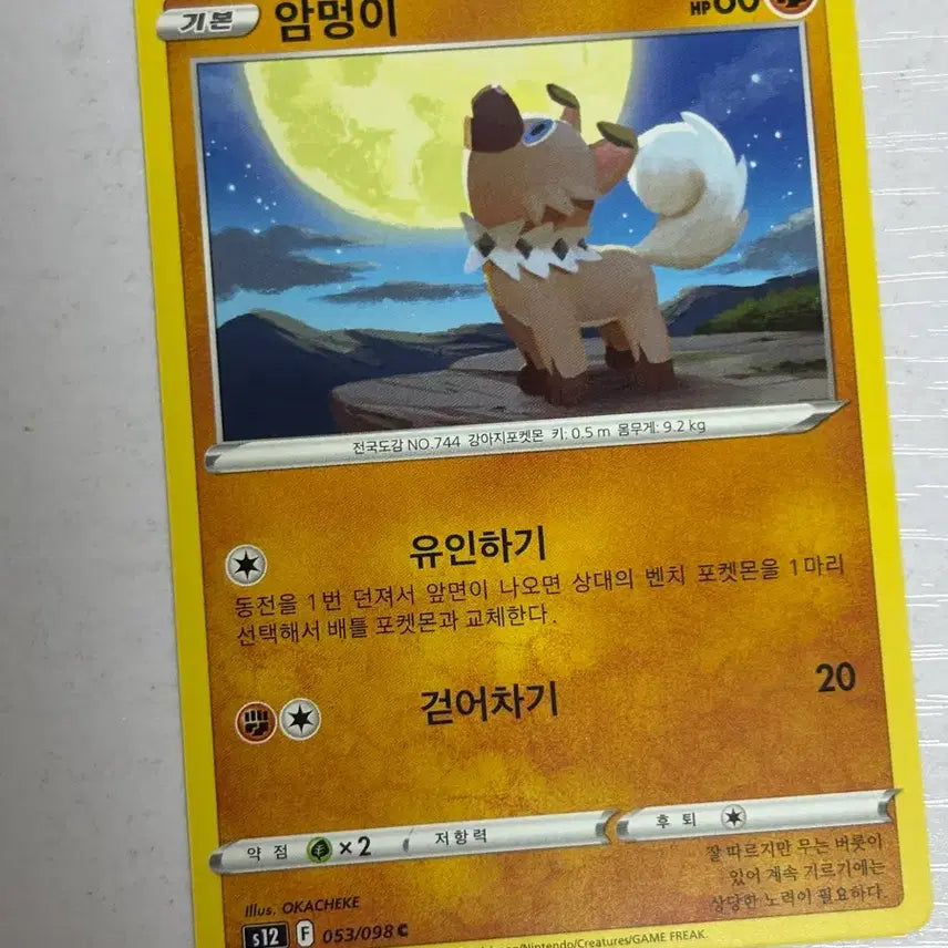 [BUNJANG] Cute Pokemon Card - Litten / [귀여운 포켓몬카드] 암멍이