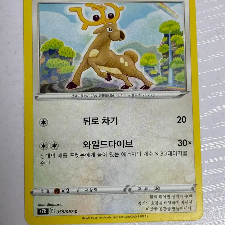 [BUNJANG] Cute Pokemon Card Norakki / [귀여운 포켓몬카드] 노라키