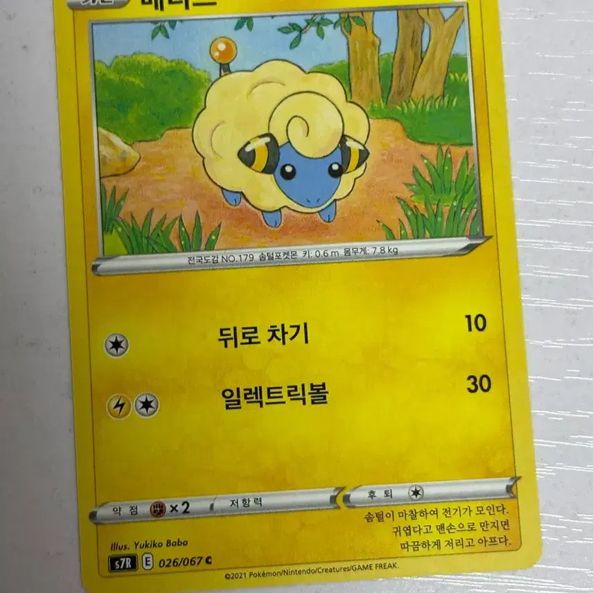 [BUNJANG] Adorable Mareep Pokemon Card / [귀여운 포켓몬카드] 메리프