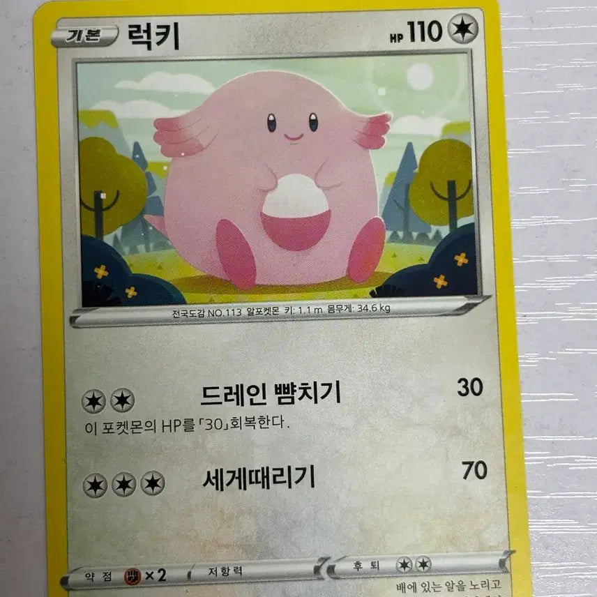 [BUNJANG] Pokemon Card Lucky Draw / [귀여운 포켓몬카드] 럭키
