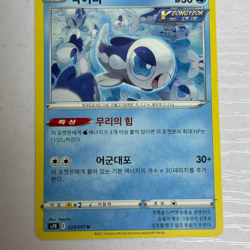[BUNJANG] Pokemon Card Squirtle / [귀여운 포켓몬카드] 약어리