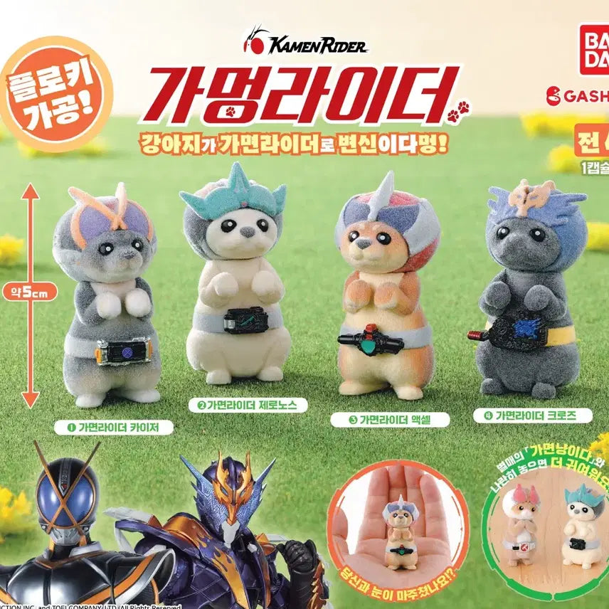 [BUNJANG] Kamen Rider Gacha Full Set / 가면라이더 가챠 가멍라이더 전종 세트 판매