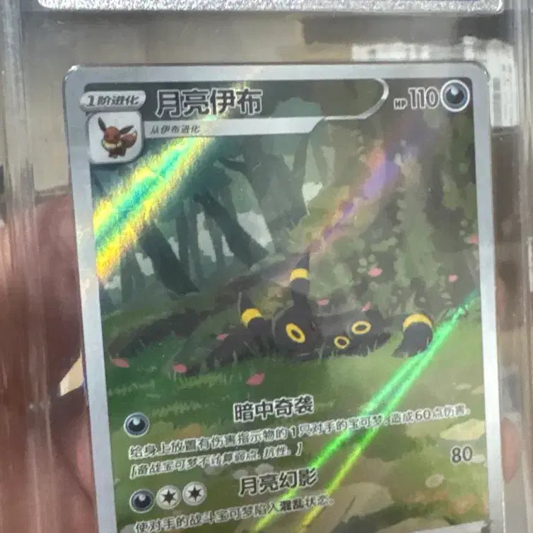 [BUNJANG] Pokemon Card Umbreon Sylveon Leafeon Eevee / 포켓몬카드 중판 블래키 님피아 리피아 이브이 ccic10