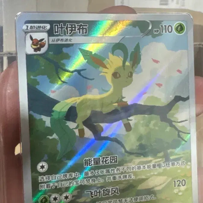 [BUNJANG] Pokemon Card Umbreon Sylveon Leafeon Eevee / 포켓몬카드 중판 블래키 님피아 리피아 이브이 ccic10