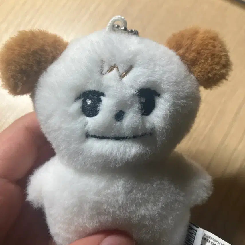 [BUNJANG] Super Junior Kyuhyun Chogyu-mae Doll / (급처) 슈퍼주니어 조규현 조규매 인형 판매합니다