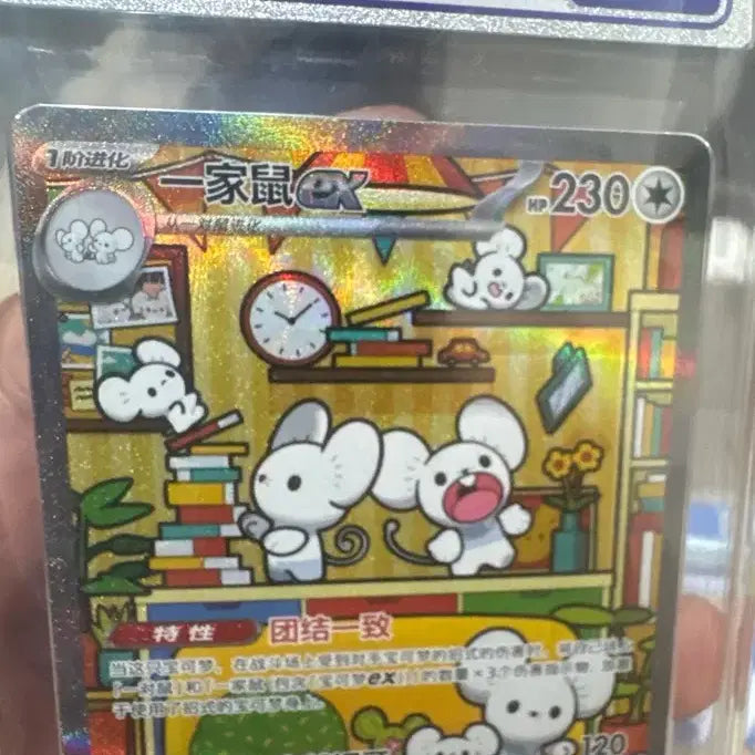 [BUNJANG] Pokemon Card Intermediate Edition Family Mouse / 포켓몬카드 중판 파밀리쥐 ccic10