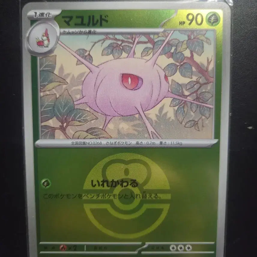 [BUNJANG] Pokemon Card MEGA Dream EX Lover Lover Ball Mirror / [일판] 카스쿤 007/193 / MEGA 드림 ex / 러브러브볼 미러