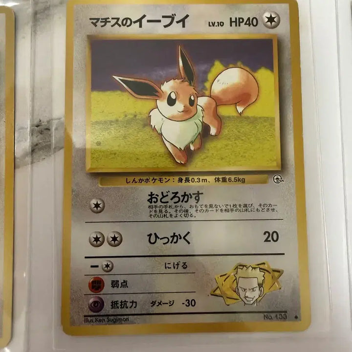 [BUNJANG] Vintage Japanese Pokémon Cards Eevee Evolutions Bundle Set (7 Cards) / 포켓몬 카드 일판 올드백 고전 이브이 진화체 7장 일괄