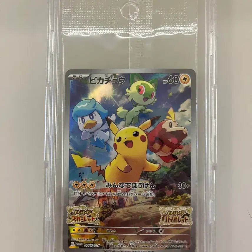 [BUNJANG] Pokemon Card "Sparkle" Sealed / 포켓몬 카드 스바츄 상태A 미개봉