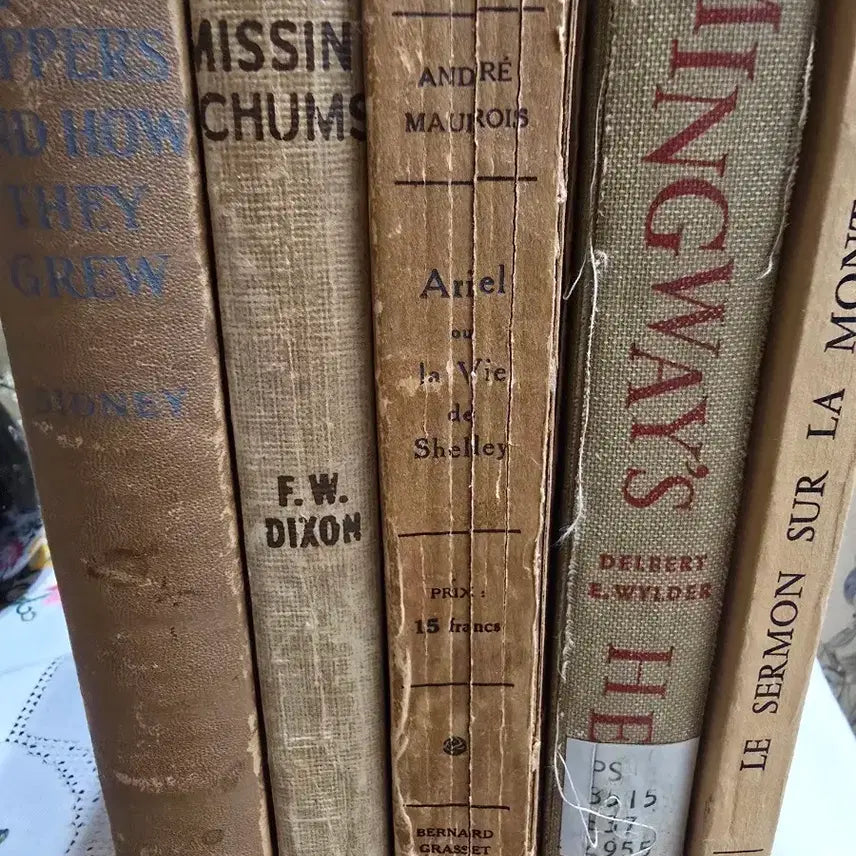 [BUNJANG] Antique Vintage Book Set (5 Books) / 앤틱 빈티지 책5권