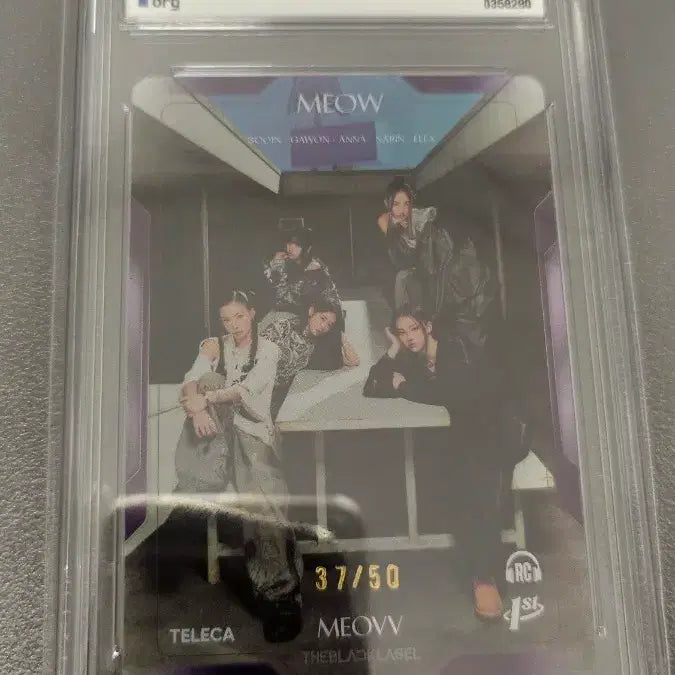[BUNJANG] Teleca Meovv Limited Edition Group Character Cards Set / 테레카 teleca 미야오 meovv 50한정 단체 4종 팀 등급카드 등카 팝니다.