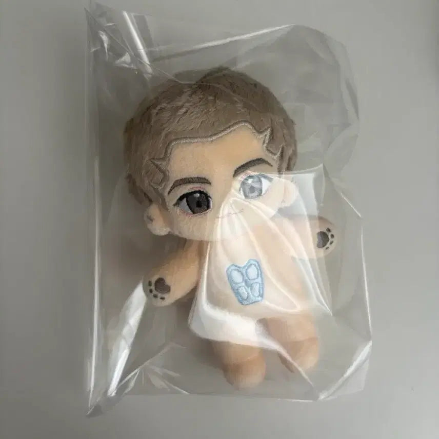 [BUNJANG] Lee Chae-heon Isekai Mistake Hunter Ahn Yoon-seung Doll / 이착헌 이세계 착각 헌터 안윤승 인형