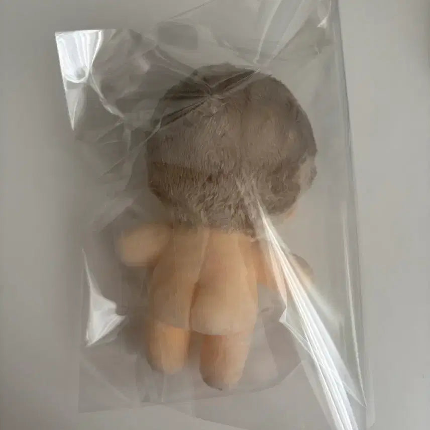 [BUNJANG] Lee Chae-heon Isekai Mistake Hunter Ahn Yoon-seung Doll / 이착헌 이세계 착각 헌터 안윤승 인형