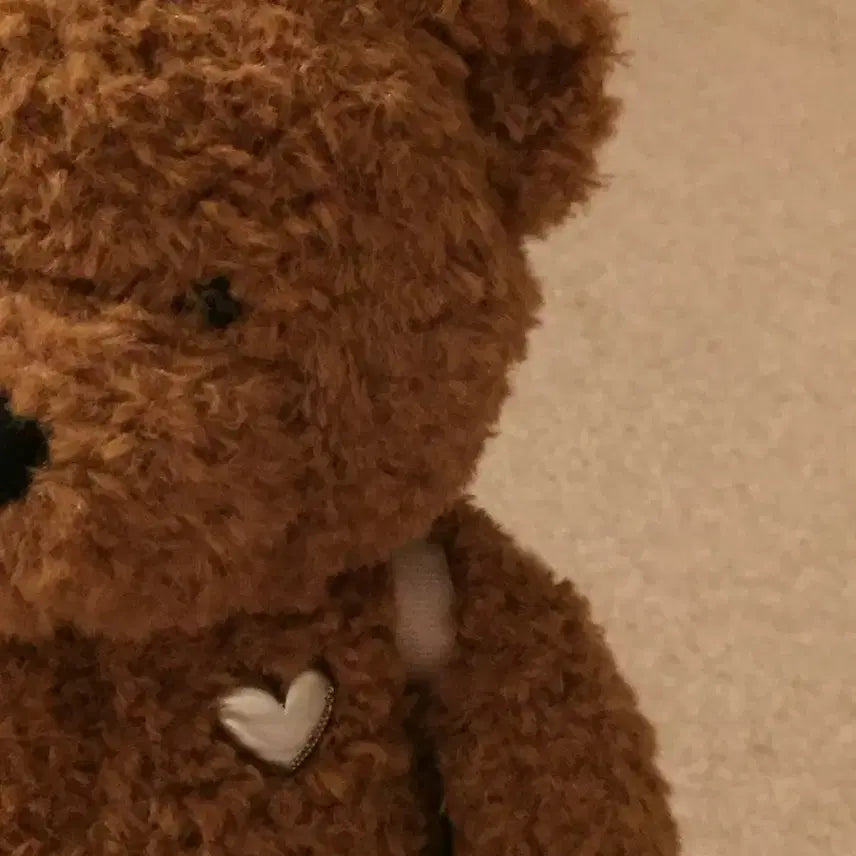 [BUNJANG] Minuitmute Trip Bear Doll / 미닛뮤트 트립 베어 인형