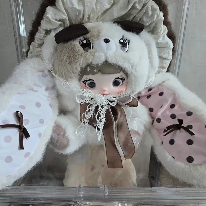 [BUNJANG] Dried Shiitake Mushrooms / 노미 버섯 표고 판매합니다