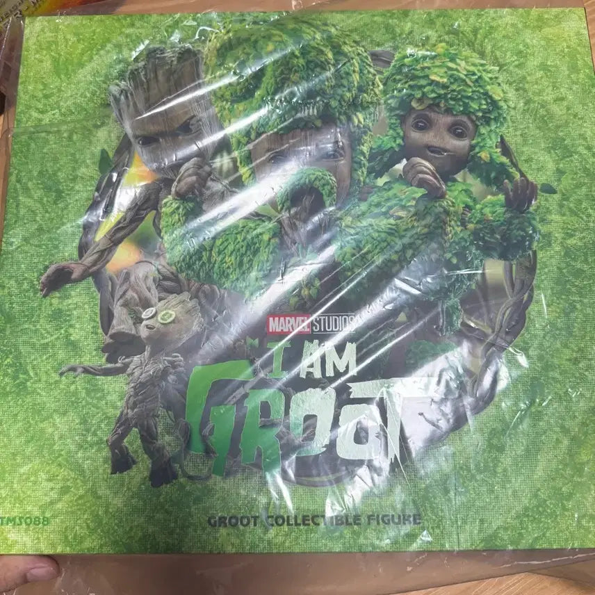 [BUNJANG] Hot Toys Groot TMS088 Figure / 핫토이 아이엠 그루트 tms088