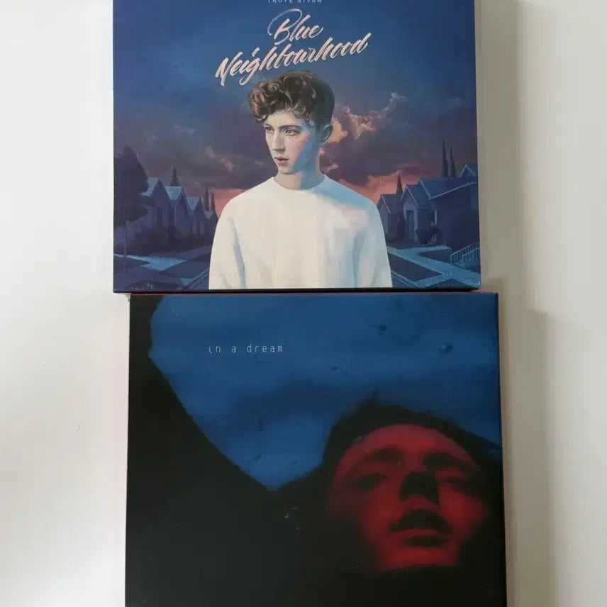 [BUNJANG] Troye Sivan Blue Neighbourhood In A Dream Bundle Set CD / 트로이 시반 cd 일괄