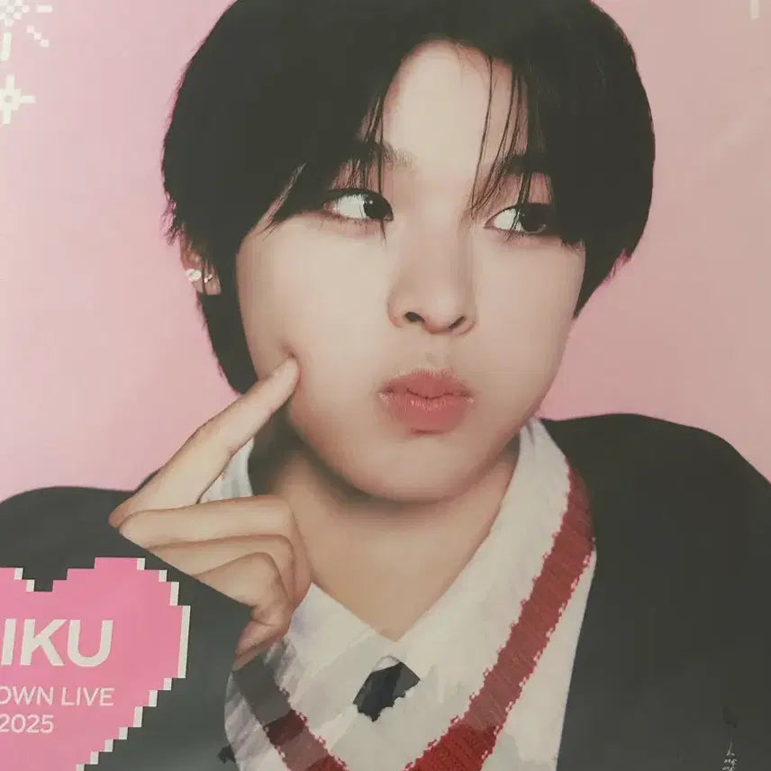 [BUNJANG] NCT WISH Maeda Riku LP Poster / 급처) 엔시티 위시 마에다 리쿠 LP 포스터
