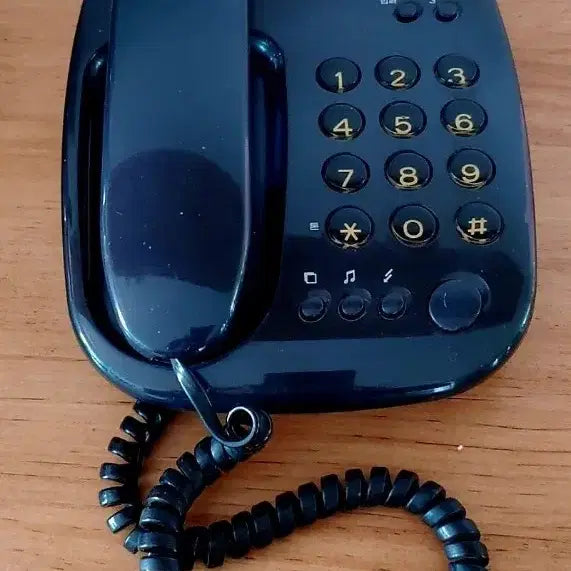 [BUNJANG] Vintage Wired Telephone (Black/Green) / 유선 전화기 블랙 / 그린 빈티지 다이얼 전화기