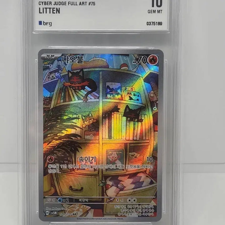 [BUNJANG] Pokemon Card Litten BRG10 / 포켓몬카드 냐오불 brg10