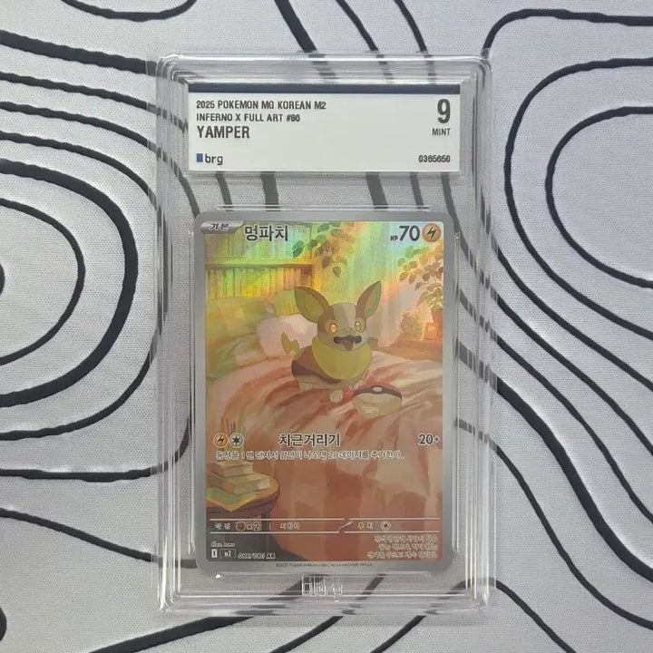 [BUNJANG] Pokemon Card Eevee AR / BRG 9 / 포켓몬카드 멍파치 AR / BRG 9