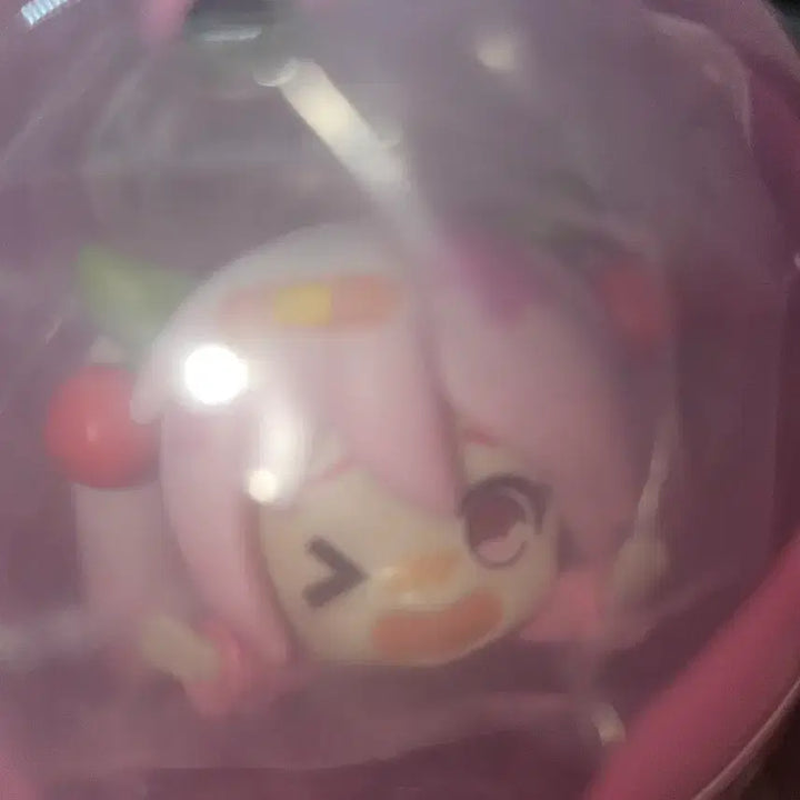 [BUNJANG] Sakura Miku Kwidang Figure (Sealed) / 미개봉 사쿠라 미쿠 꽈당피규어