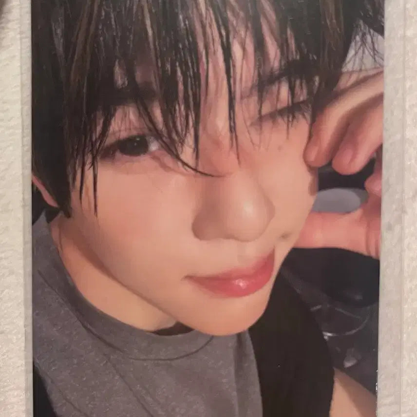 [BUNJANG] ODD TO LOVE Zion Photocard Package Version / 엔시티위시 시온 오드투러브 안테로스 포카 패키지버전