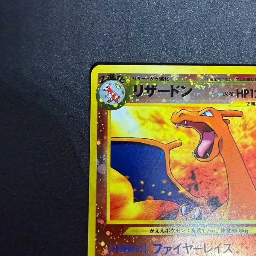 [BUNJANG] Pokemon Card Neo Premium File 2 Charizard Reverse Holo Vintage Oldback / 포켓몬카드 빈티지 올드백 네오프리미엄파일2 리자몽 리버스 홀로