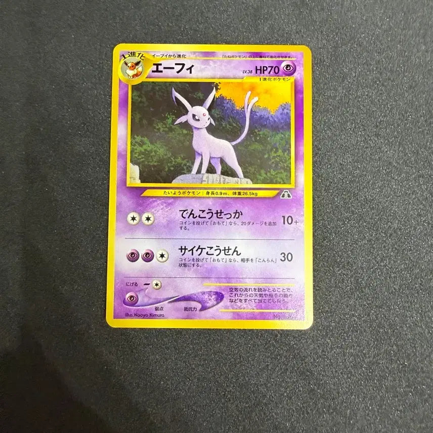 [BUNJANG] Pokemon Card Eevee Neo Premium File 2 Vintage Oldback / 포켓몬카드 빈티지 올드백 네오프리미엄파일2 에브이